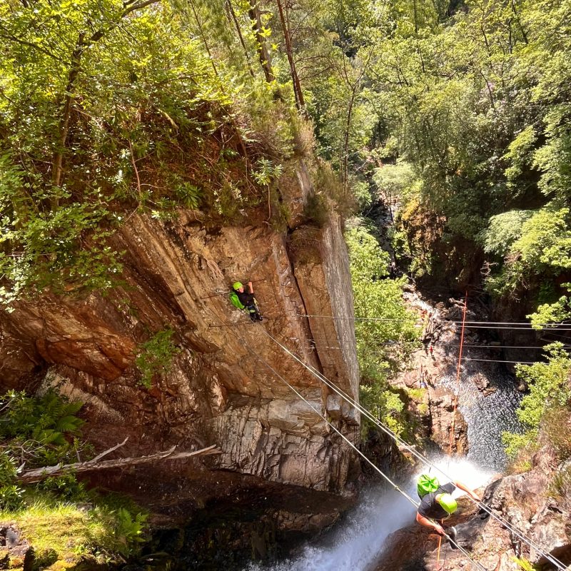 a waterfall surrounded by trees